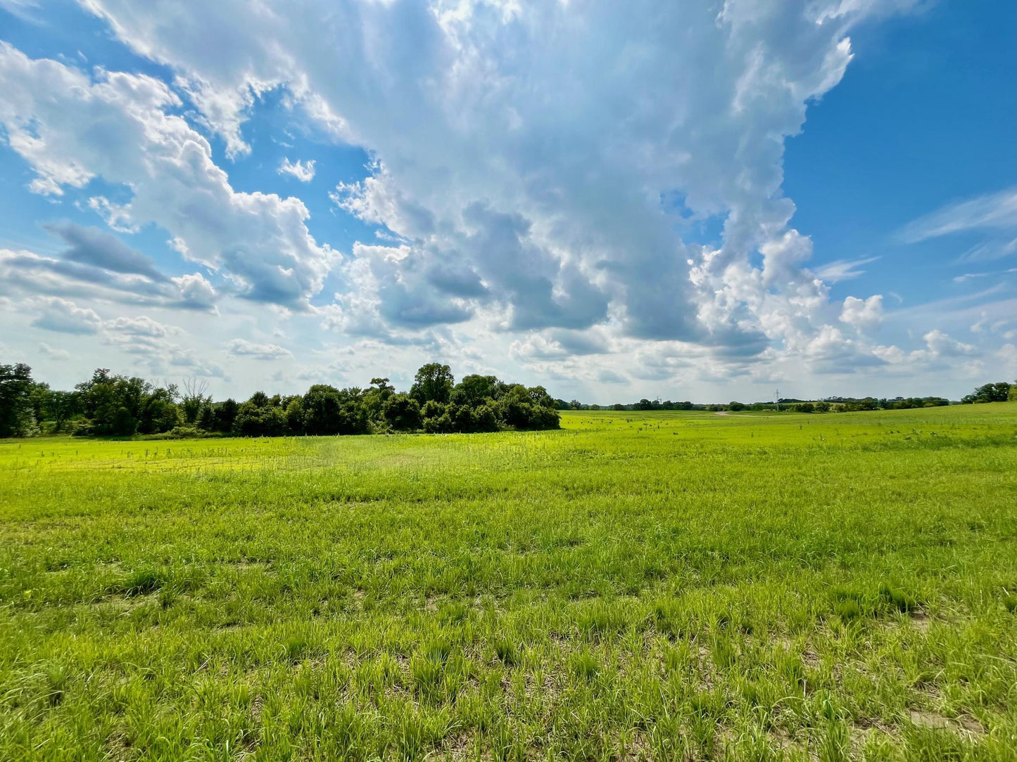 Lot 3 Block 1 River View Trail, Pelican Rapids, MN 56572