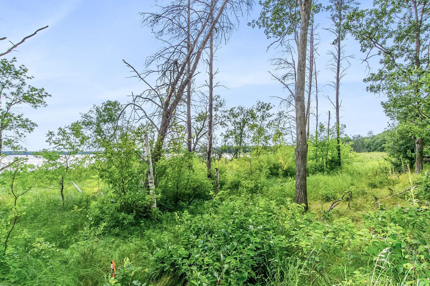 Lot 4 Blk 1 County Road 145 , Pequot Lakes, MN 56472