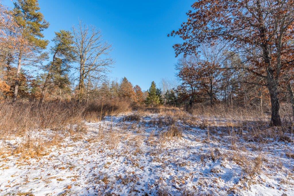 TBD Jasperwood Drive , Baxter, MN 56425