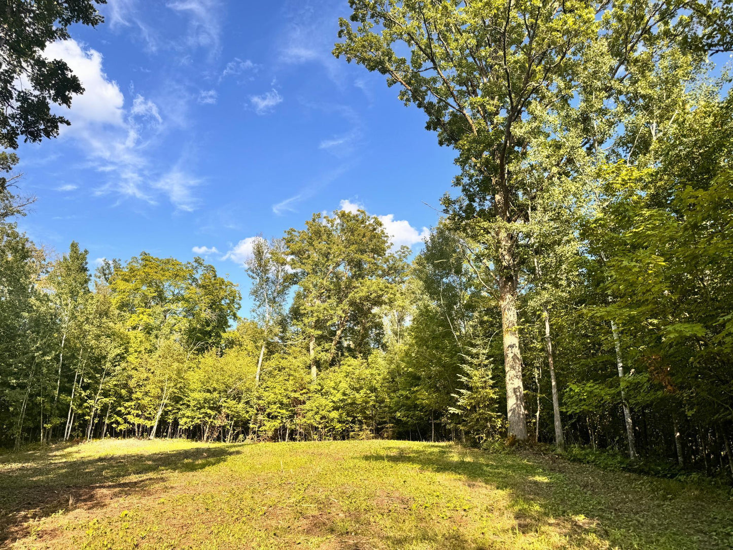 TBD Vagabond Loop Vagabond Loop , Bemidji, MN 56601