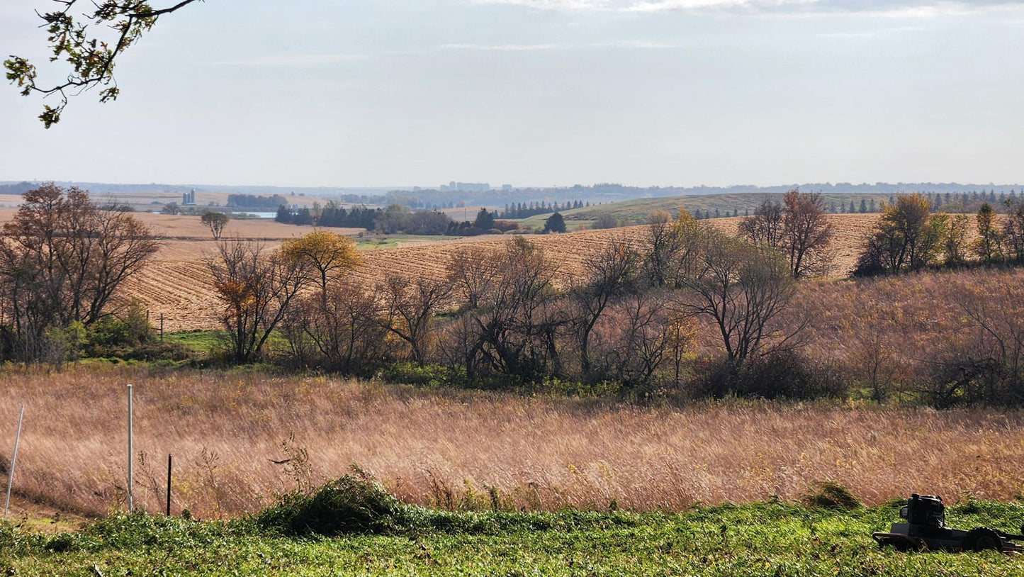 XXXX CTY RD 3 , Byron, MN 55920