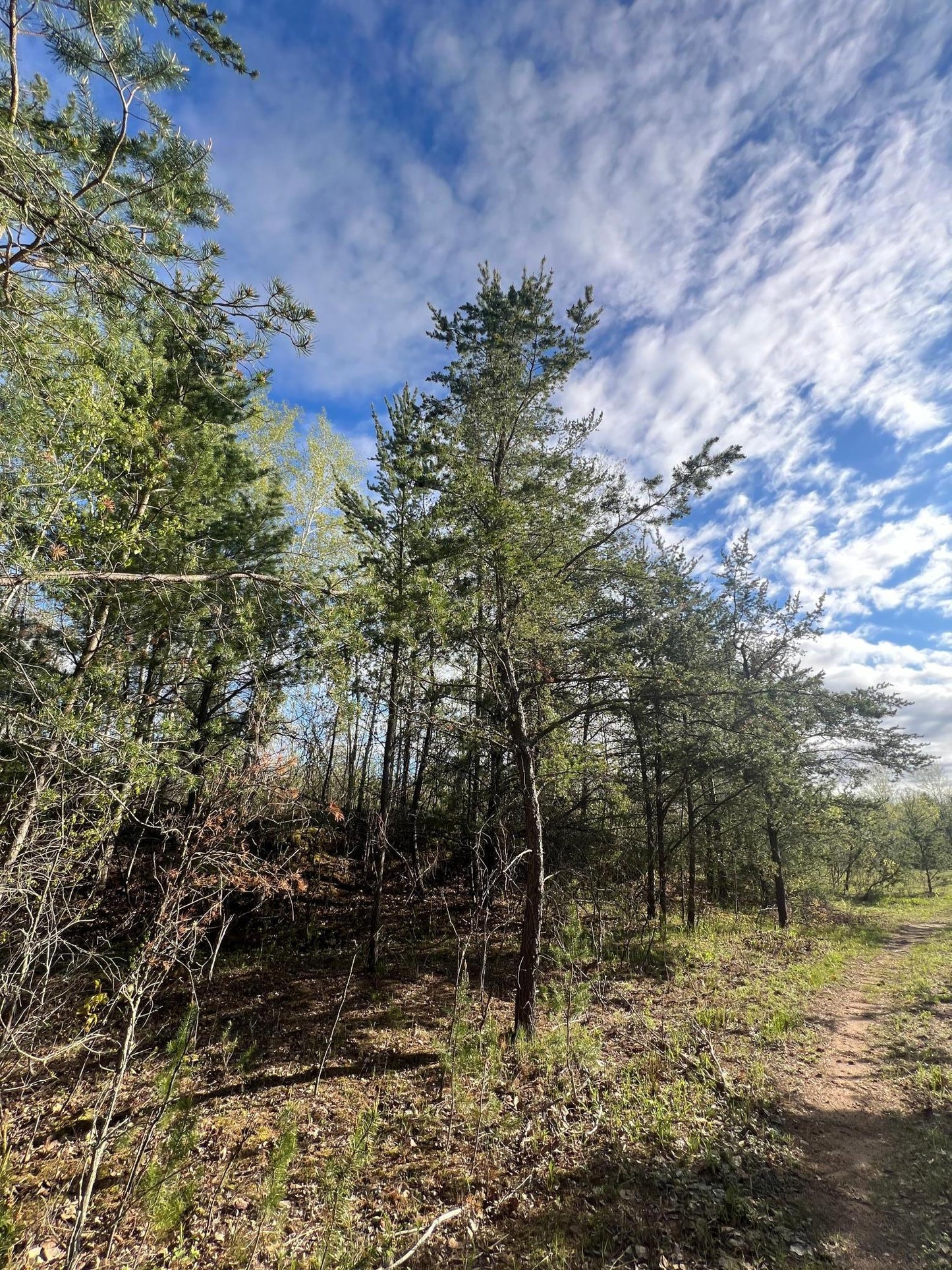 XXX Agate Drive, Pine City, MN 55063