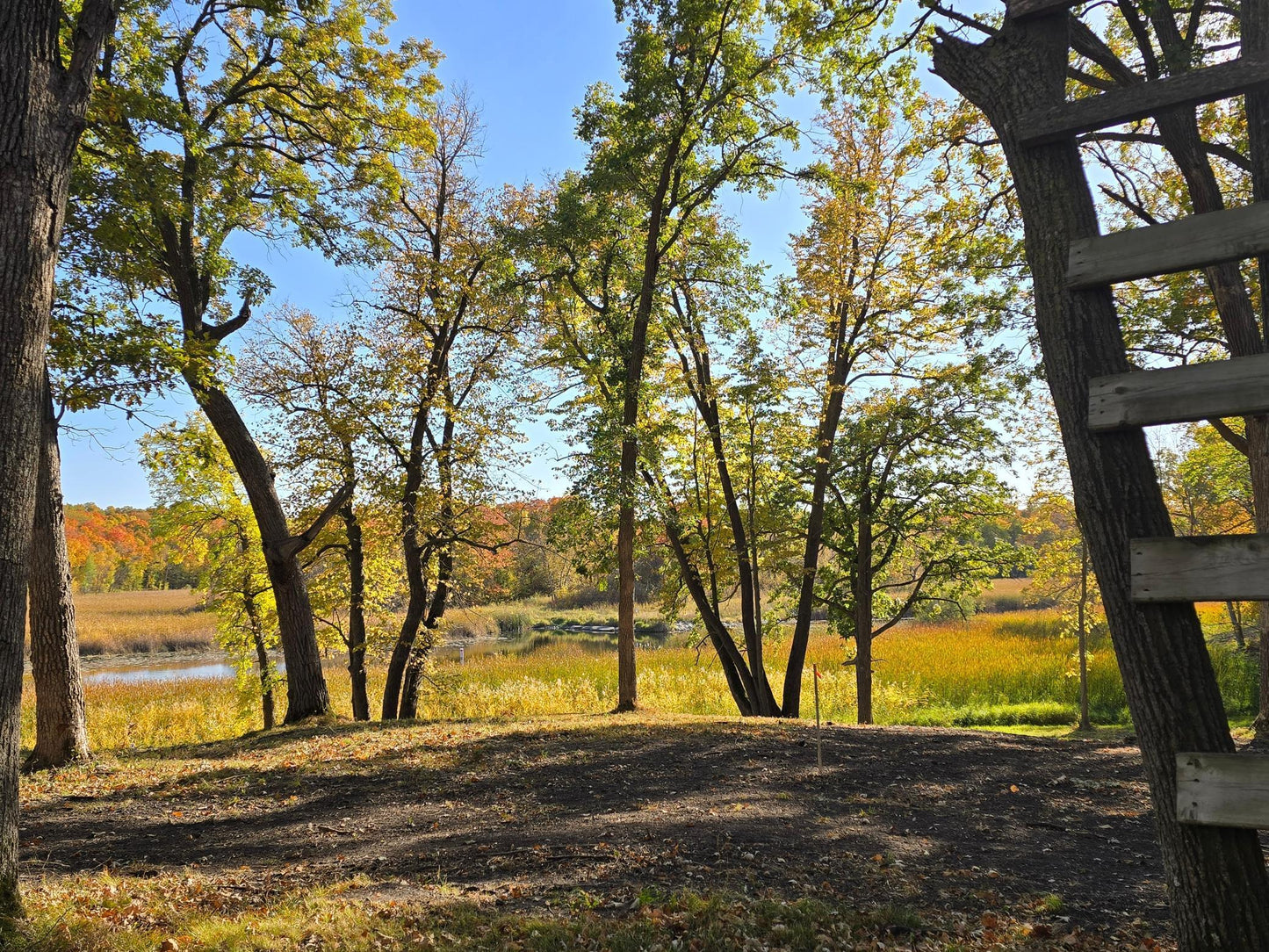 Tract N Blybergs Lane , Pelican Rapids, MN 56572