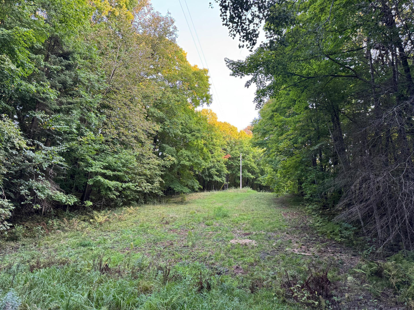 (LOT 3) TBD Rock Lake Road, Rochert, MN 56578