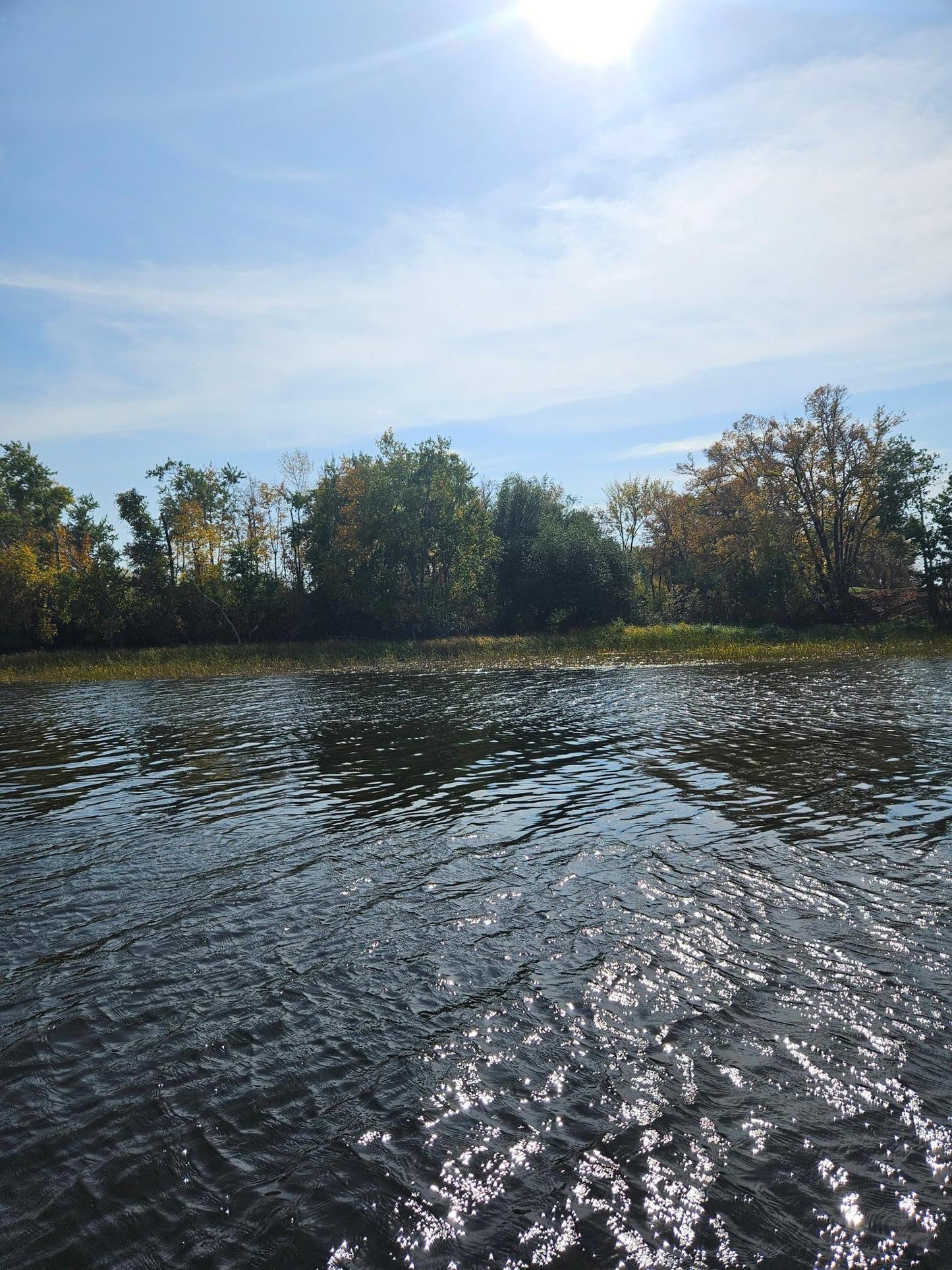 lot8 Hooper Creek Loop , Baudette, MN 56623