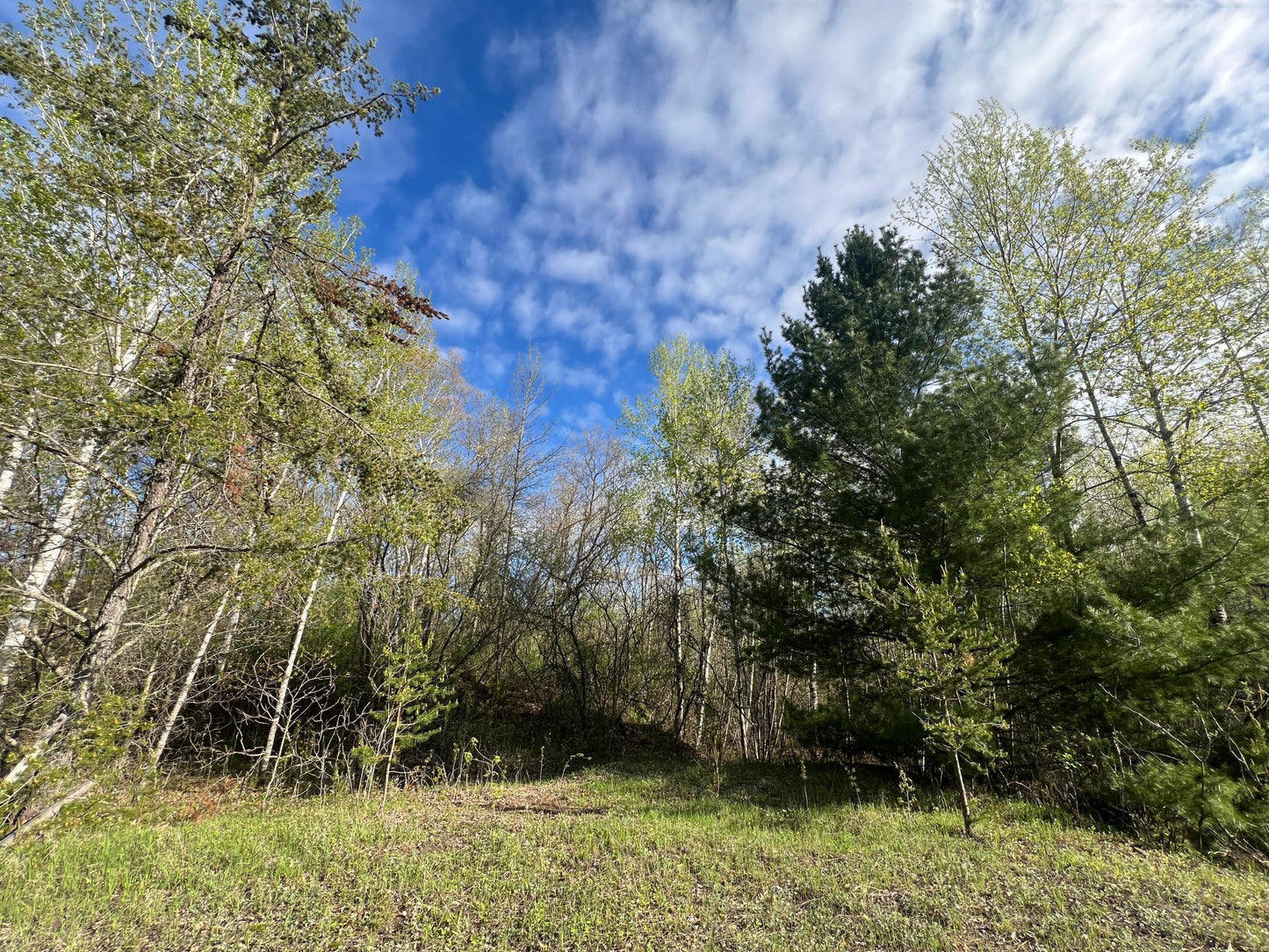 XXX Agate Drive, Pine City, MN 55063