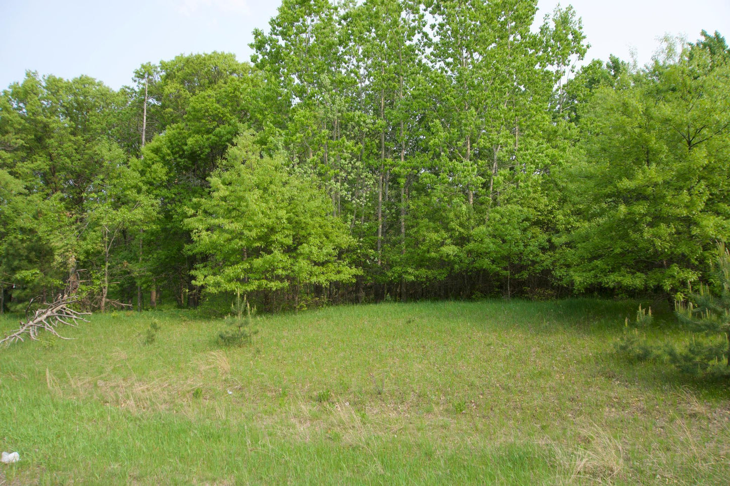 XXX Lot 3 283rd Avenue, Zimmerman, MN 55398