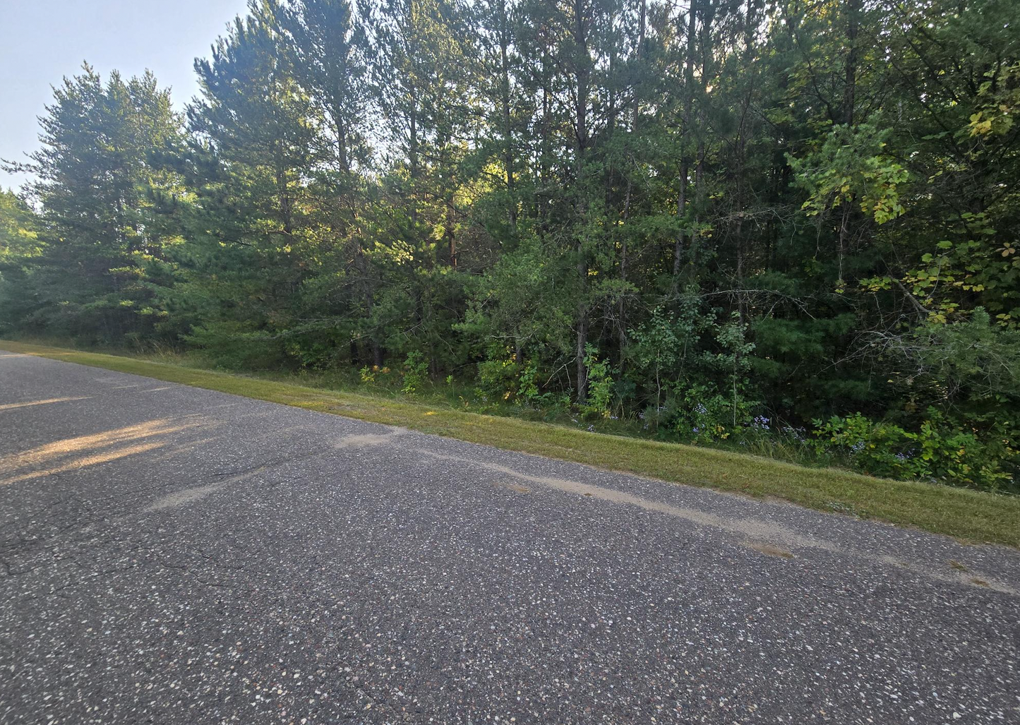 TBD Shoreline Drive , Little Falls, MN 56345