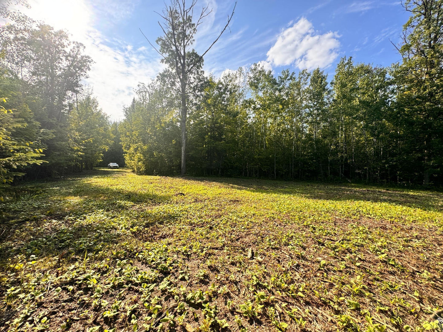 TBD Vagabond Loop Vagabond Loop , Bemidji, MN 56601