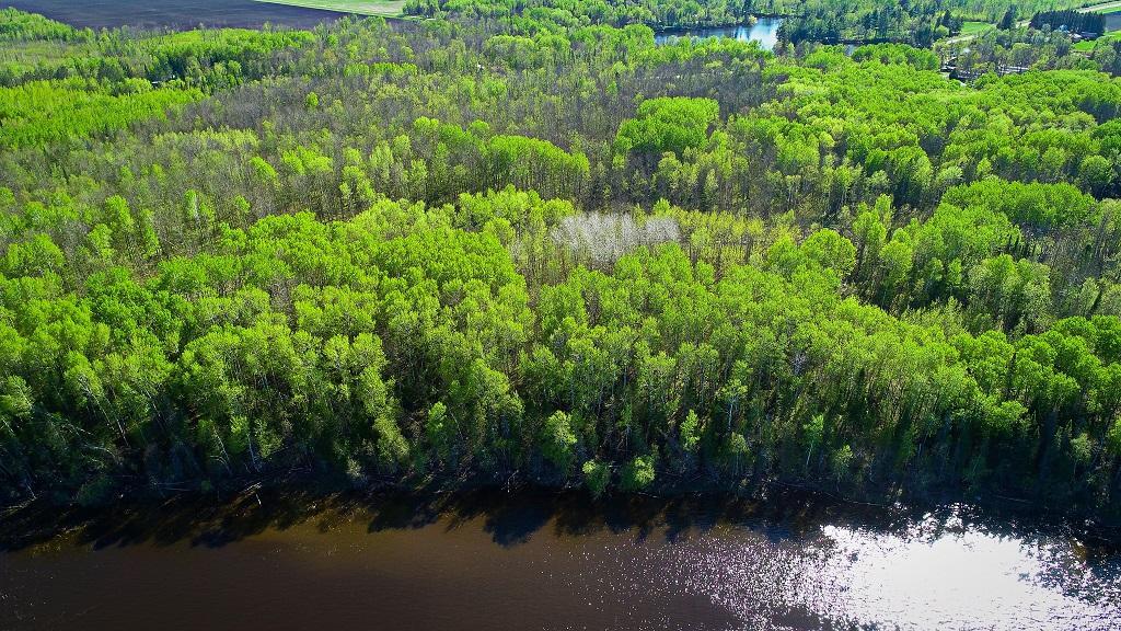 Lot 9 - TBD Driftwood Lane, Baudette, MN 56623