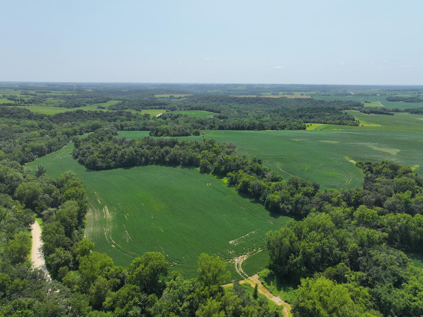 xxxx County Road 3 , Zumbro Falls, MN 55991