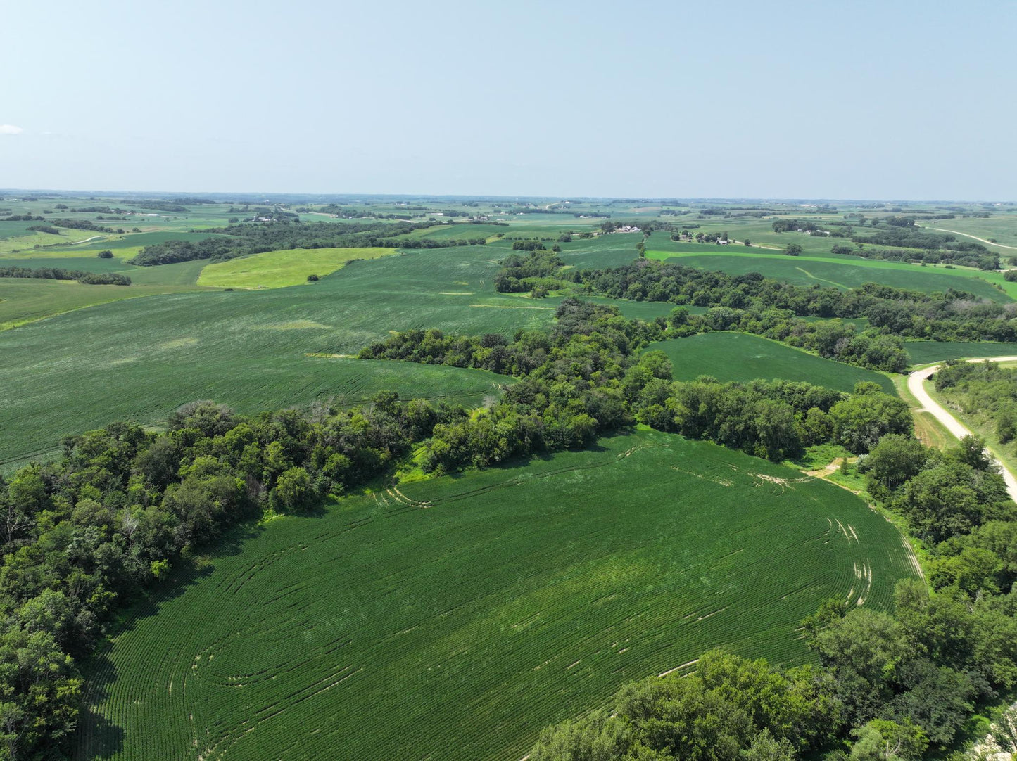 xxxx County Road 3 , Zumbro Falls, MN 55991