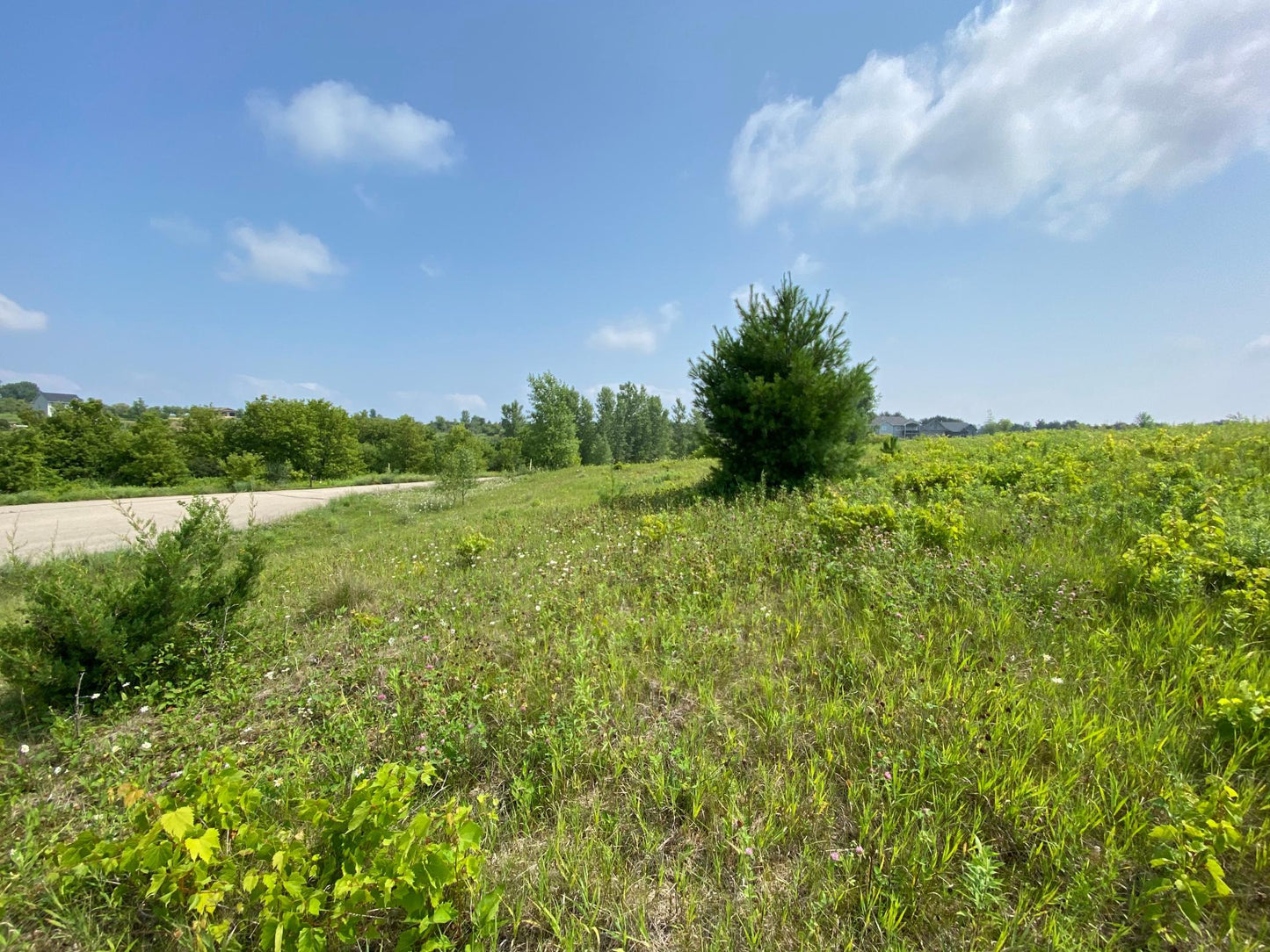 tbd 712th Street, Lake City, MN 55041