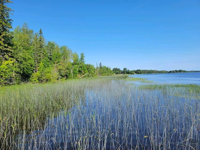 Lot 9 - TBD Driftwood Lane, Baudette, MN 56623