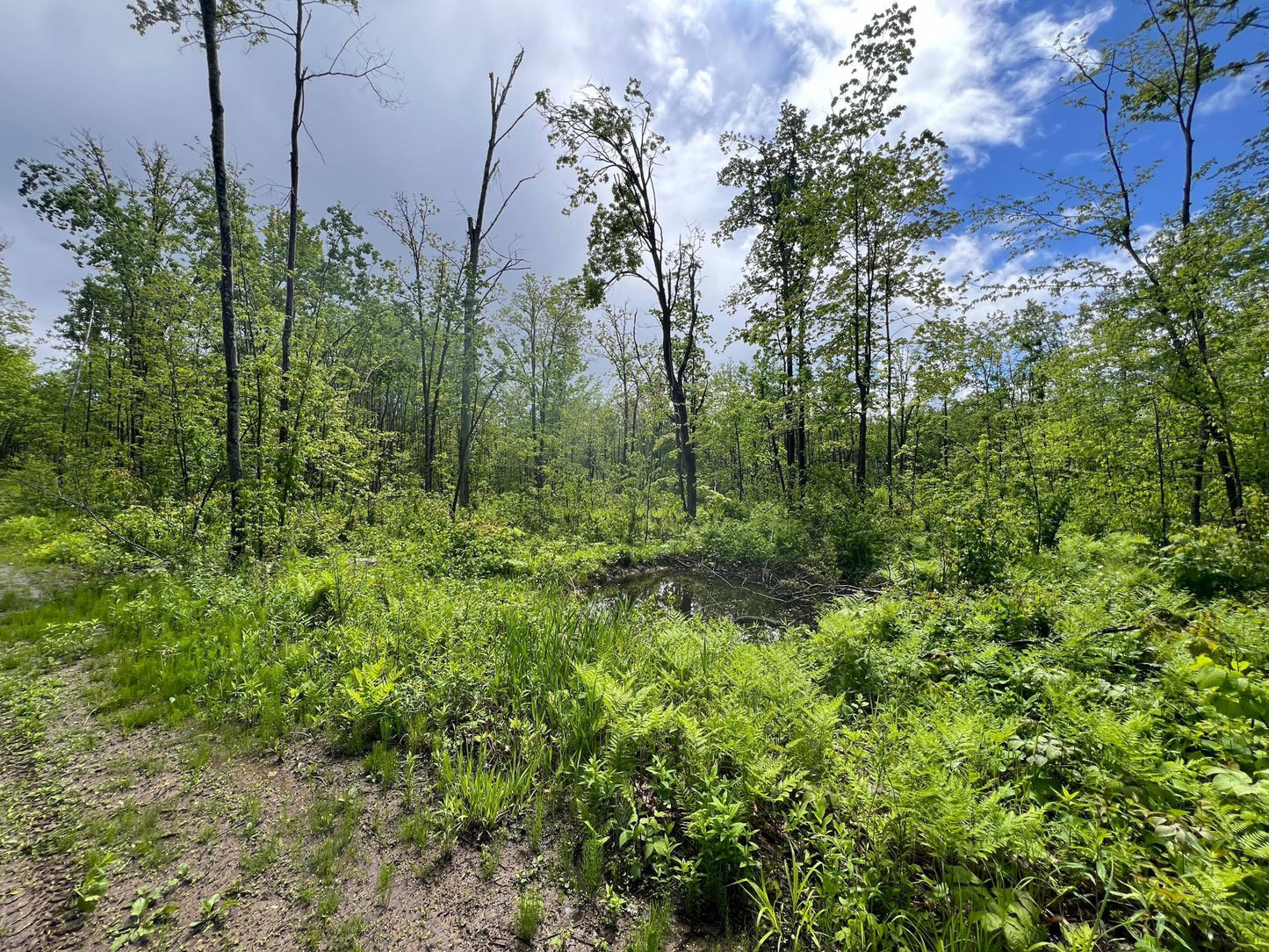 XXX Woods Road, Isle, MN 56342