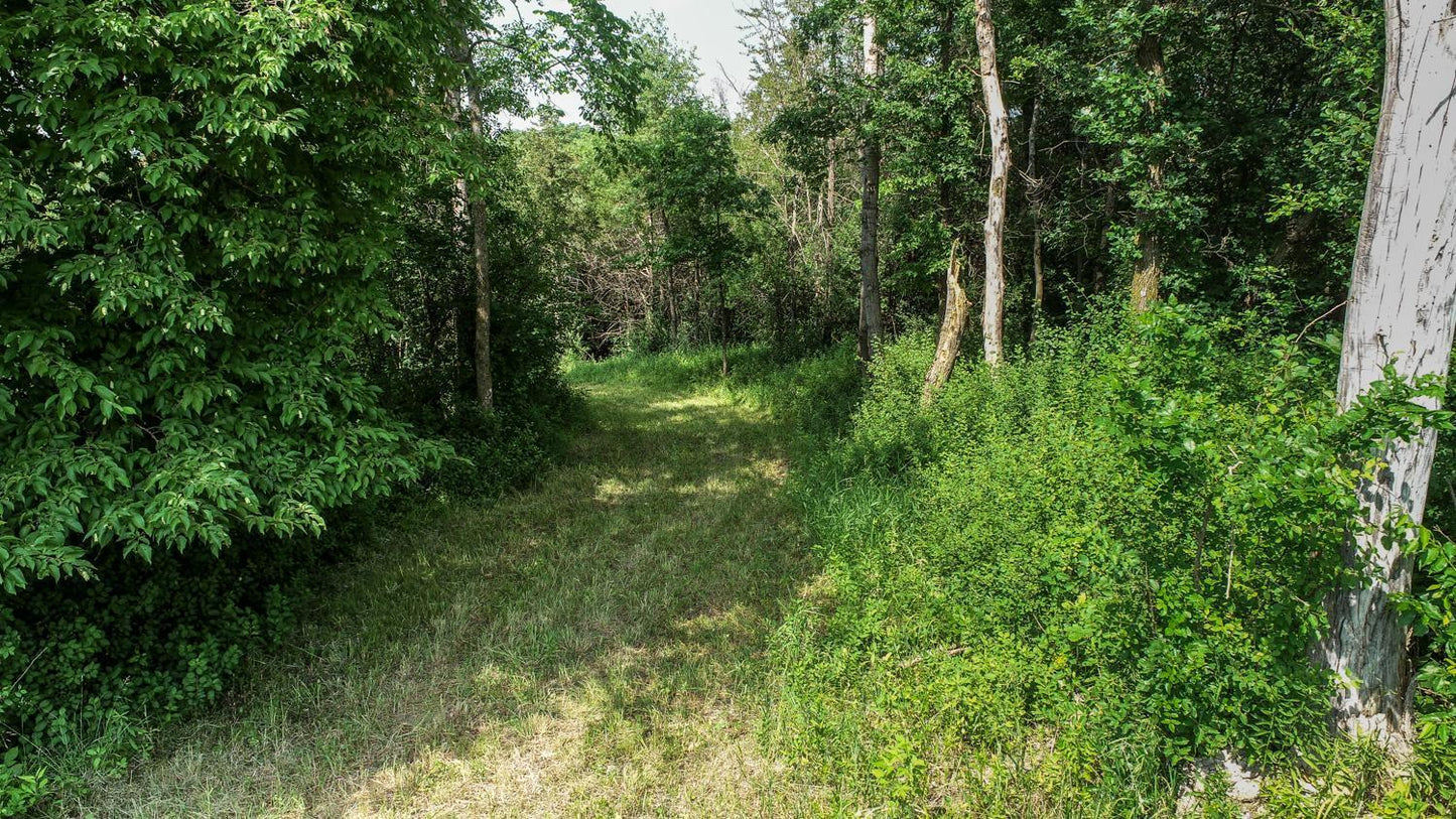 TBD Salley Ridge (L2B1 Phase 2) Lane, Rochester, MN 55906