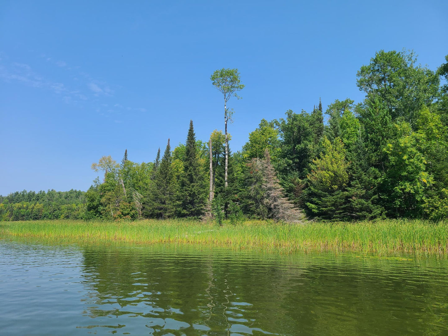 10281 Sullivan Bay , Orr, MN 55771