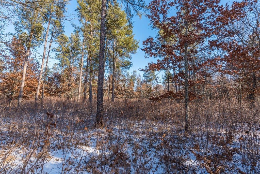 TBD Jasperwood Drive , Baxter, MN 56425