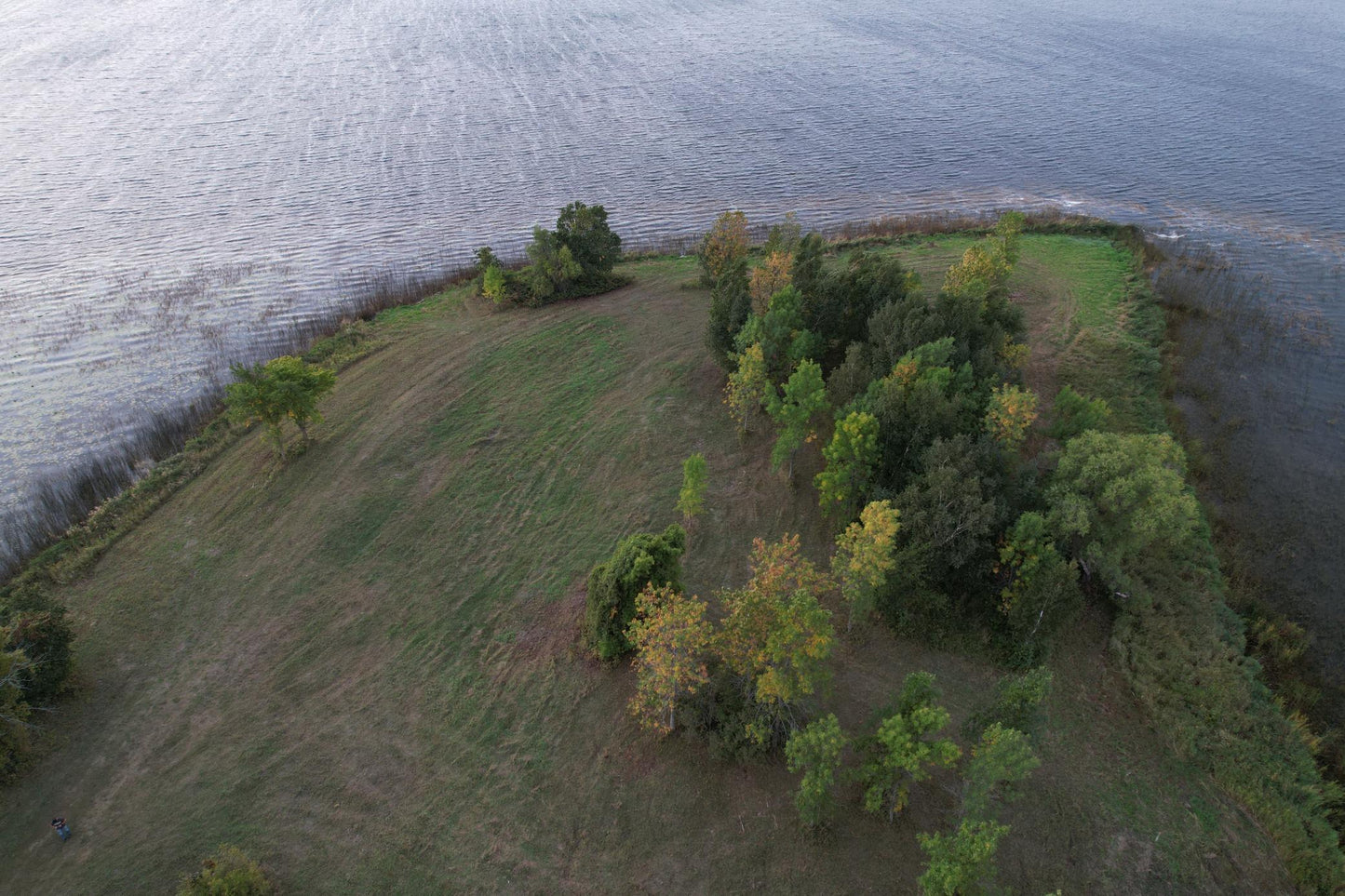 (LOT D) TBD Rock Lake Road, Rochert, MN 56578