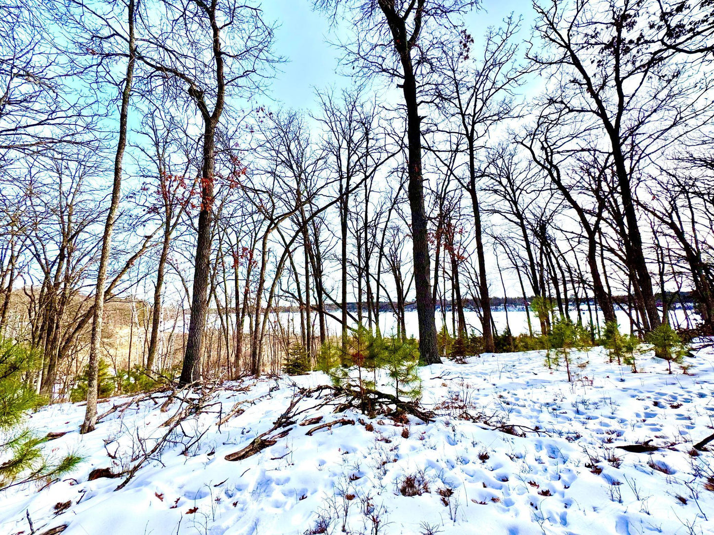 TBD 141st Avenue, Blueberry Twp, MN 56464