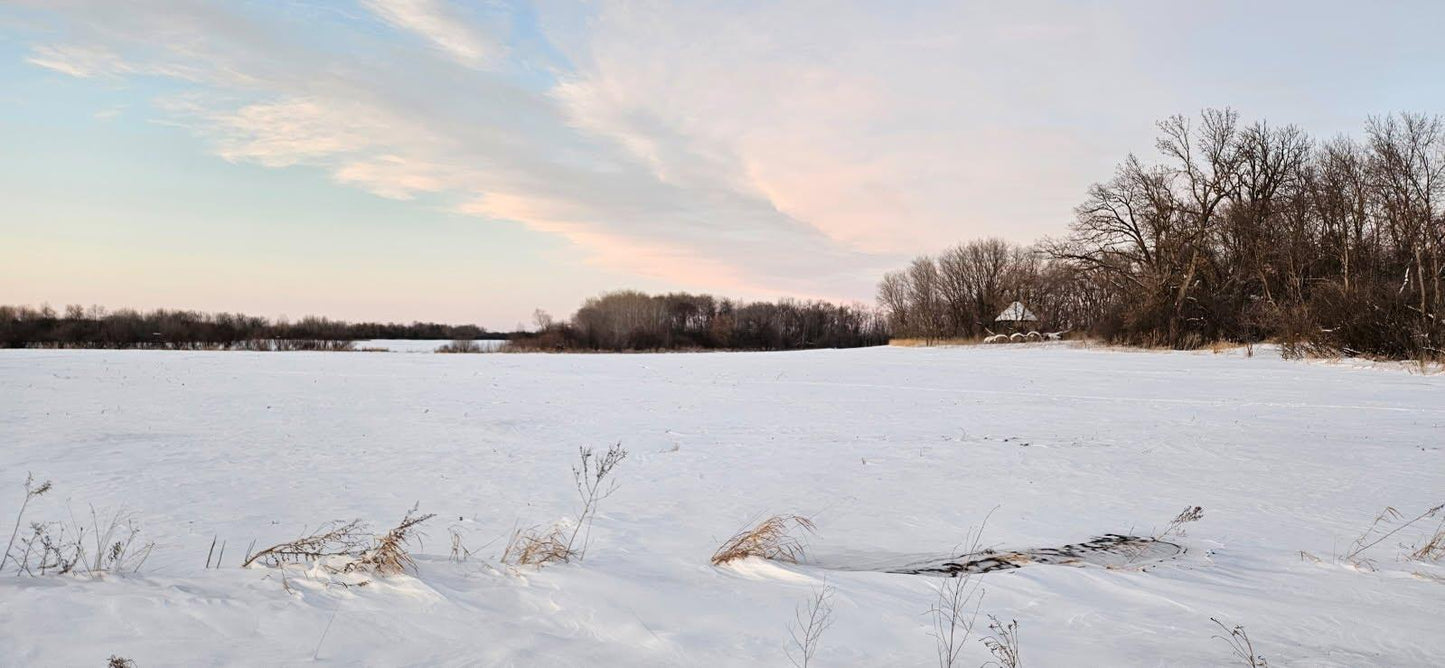 Parcel 2 Willow Road, Carlos, MN 56319