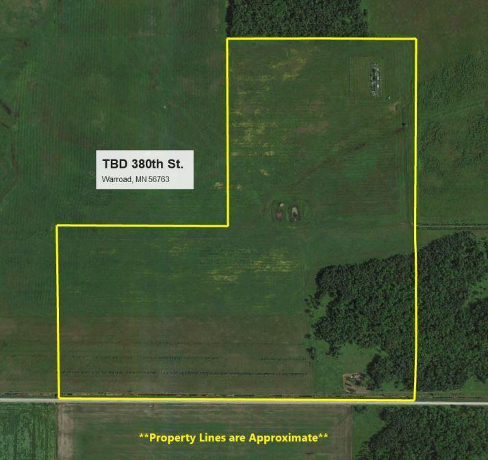 TBD 380th Street, Warroad, MN 56763