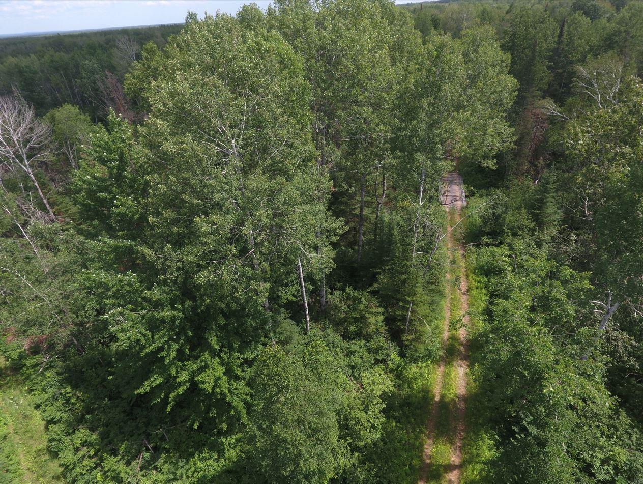 XX40 acres W Center Road , Clear Creek Unorg. Terr., MN 55707