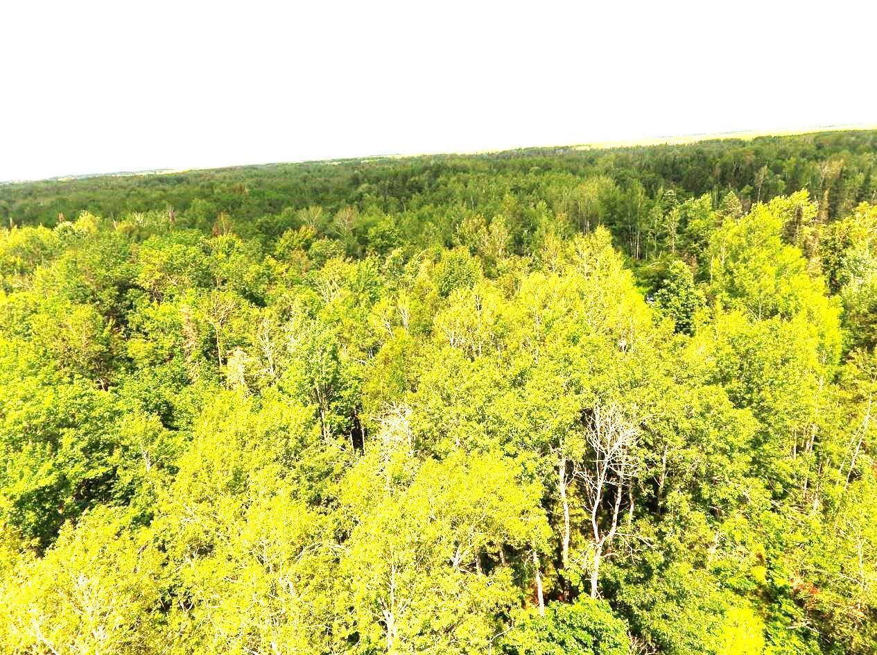 XX40 acres W Center Road , Clear Creek Unorg. Terr., MN 55707