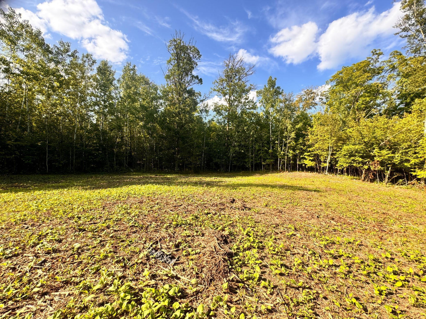 TBD Vagabond Loop Vagabond Loop , Bemidji, MN 56601