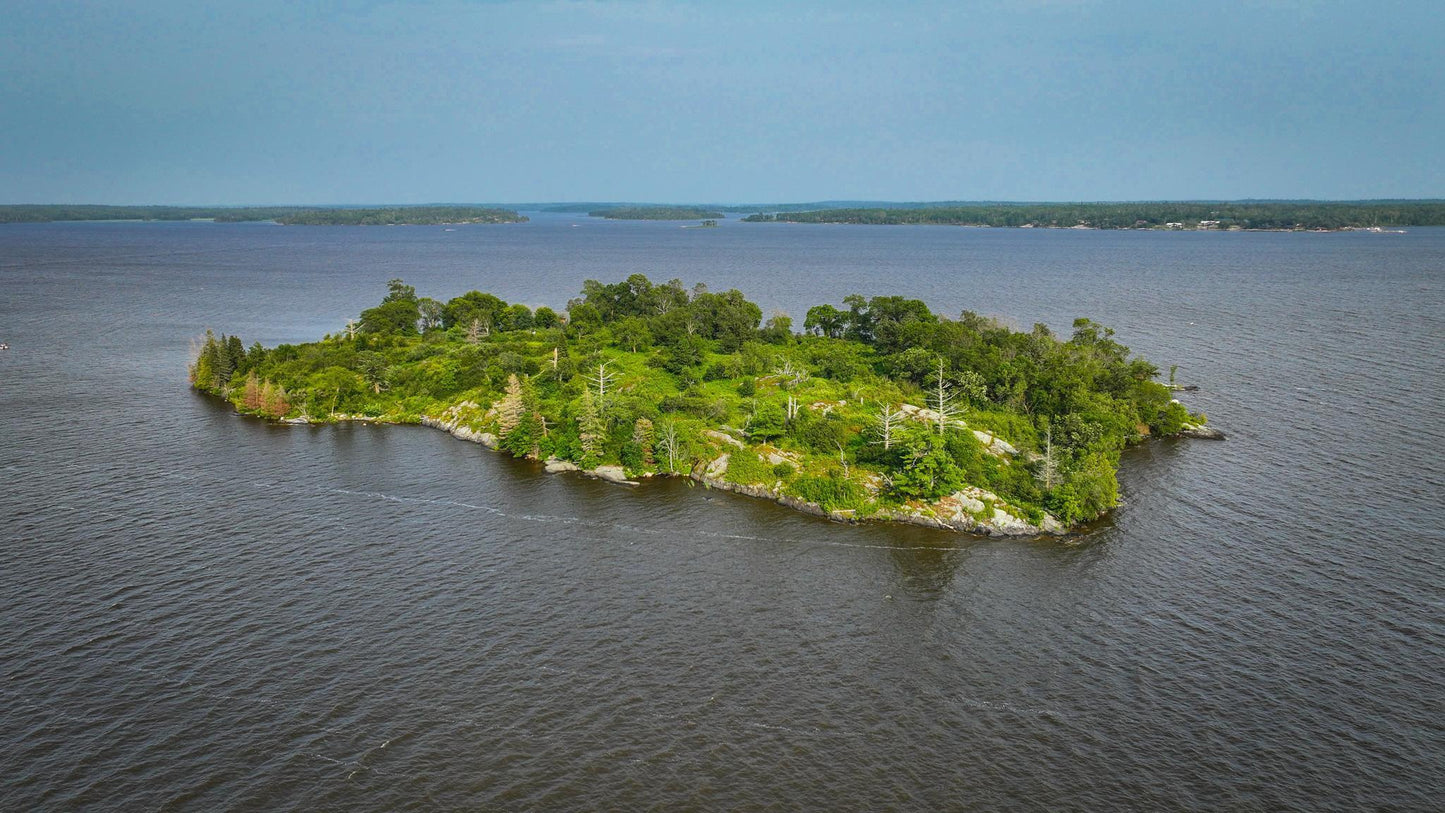 1 Birch Island , Angle Twp, MN 56711