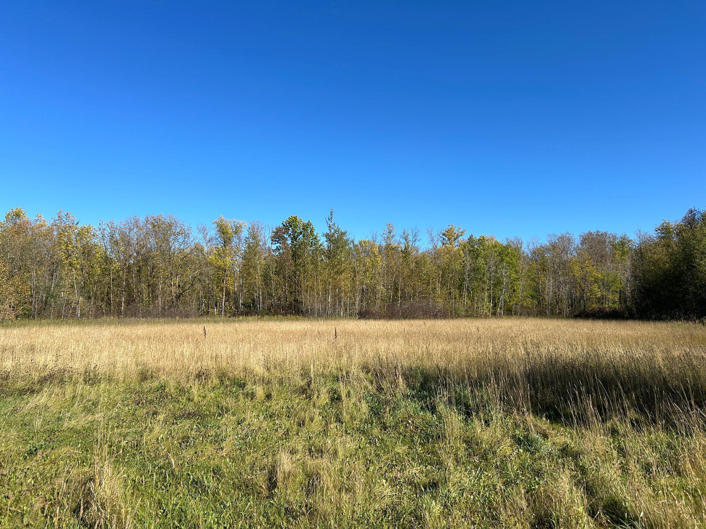 TBD 380th Street, Warroad, MN 56763