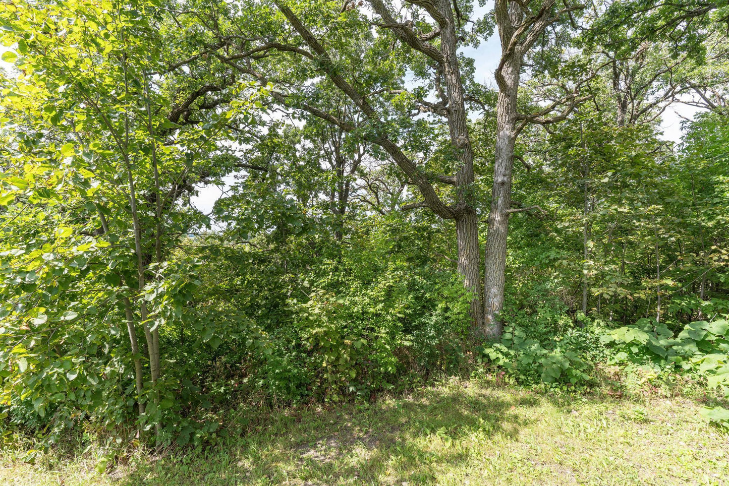 Lot D 202nd Avenue, Fergus Falls, MN 56537