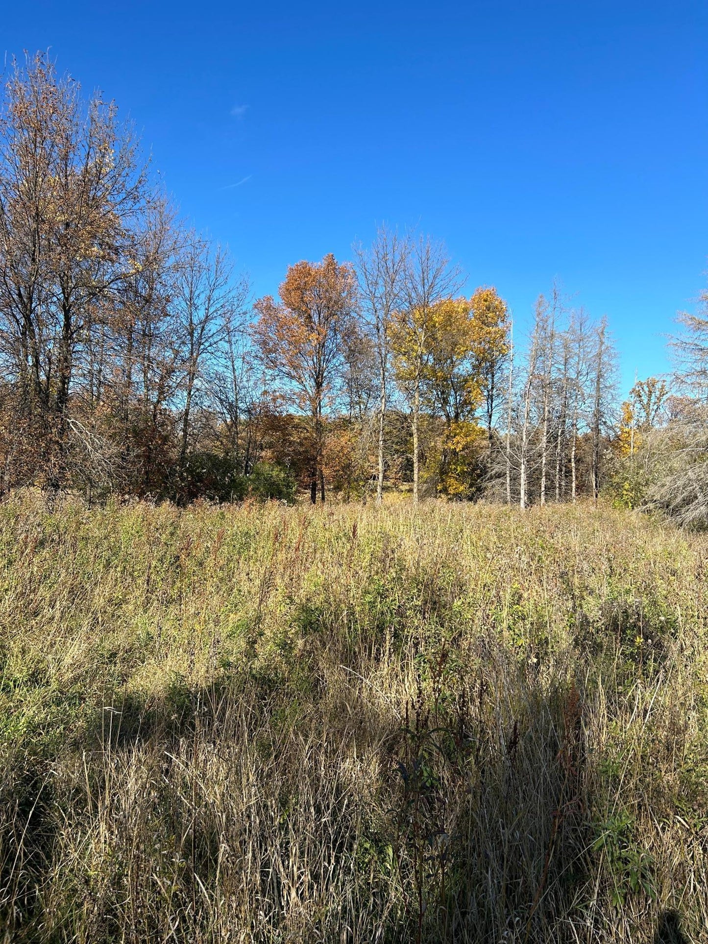 TBD Riverbend Drive, Warroad, MN 56763