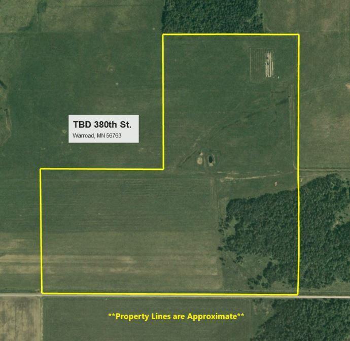 TBD 380th Street, Warroad, MN 56763