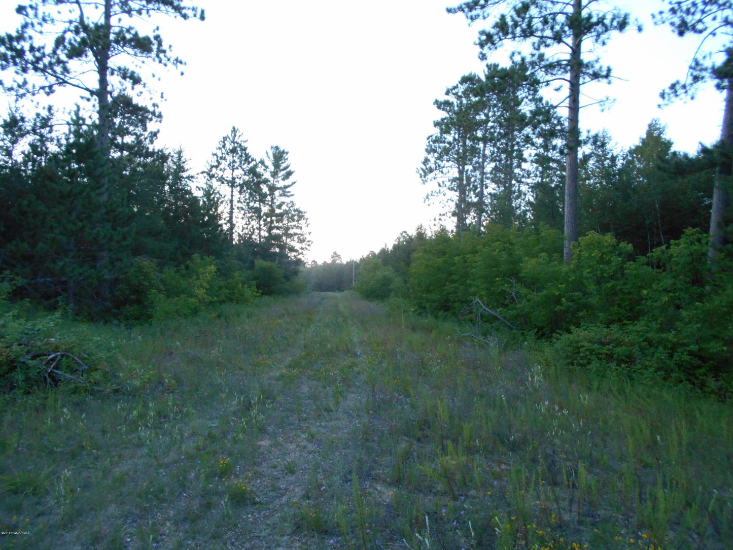 TBD Vaxjo Lane, Cass Lake, MN 56633