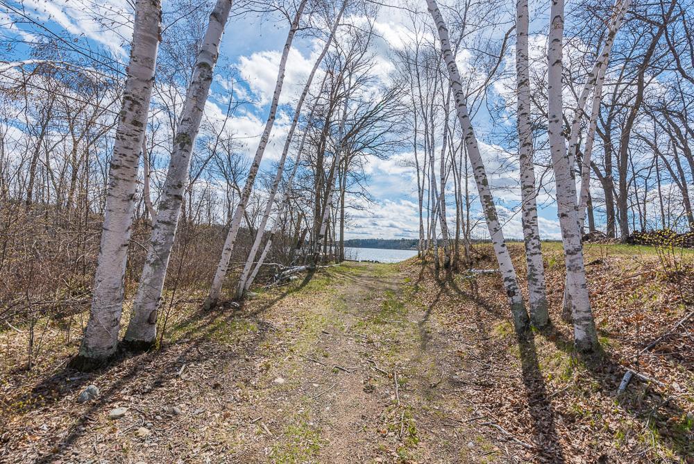 TBD - Lot 4 Hurtig Road , Pequot Lakes, MN 56472