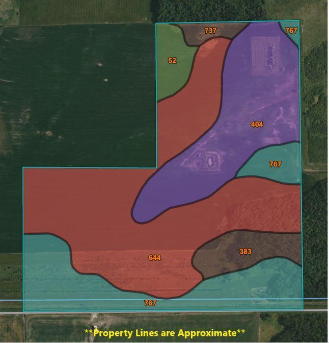 TBD 380th Street, Warroad, MN 56763