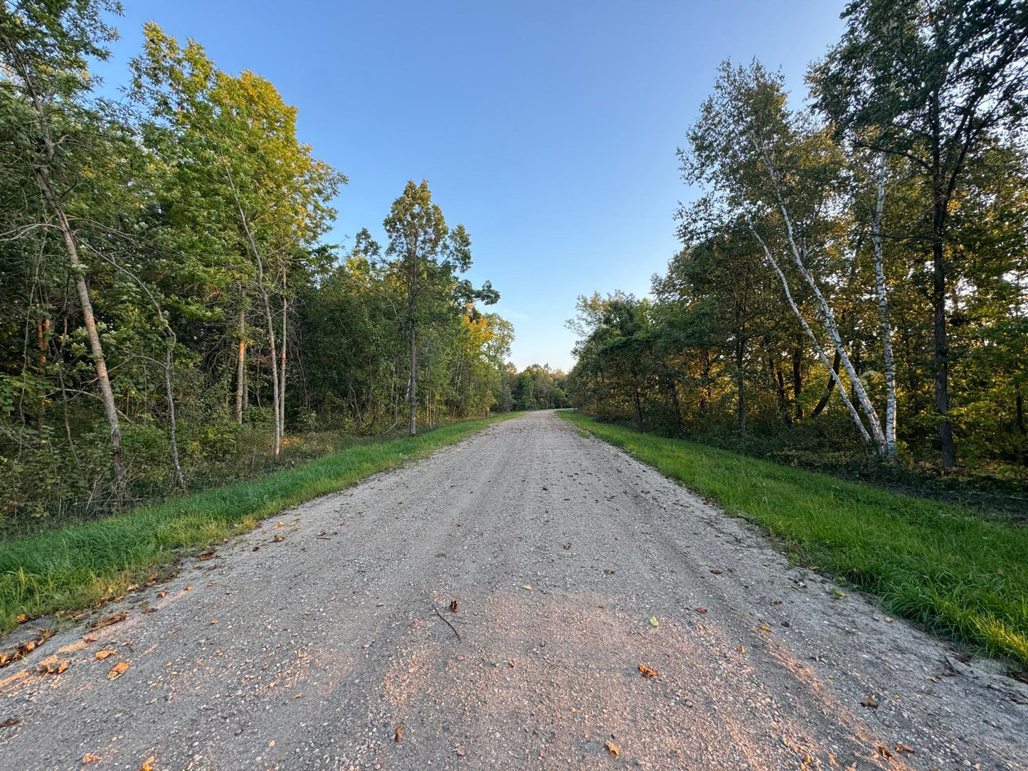 (LOT 2) TBD Rock Lake Road, Rochert, MN 56578