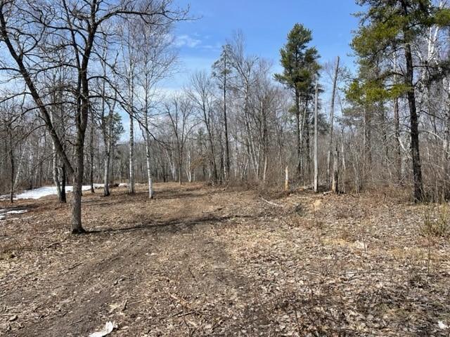 TBD Lot 6 New Paradise Point Drive, Lake George, MN 56458