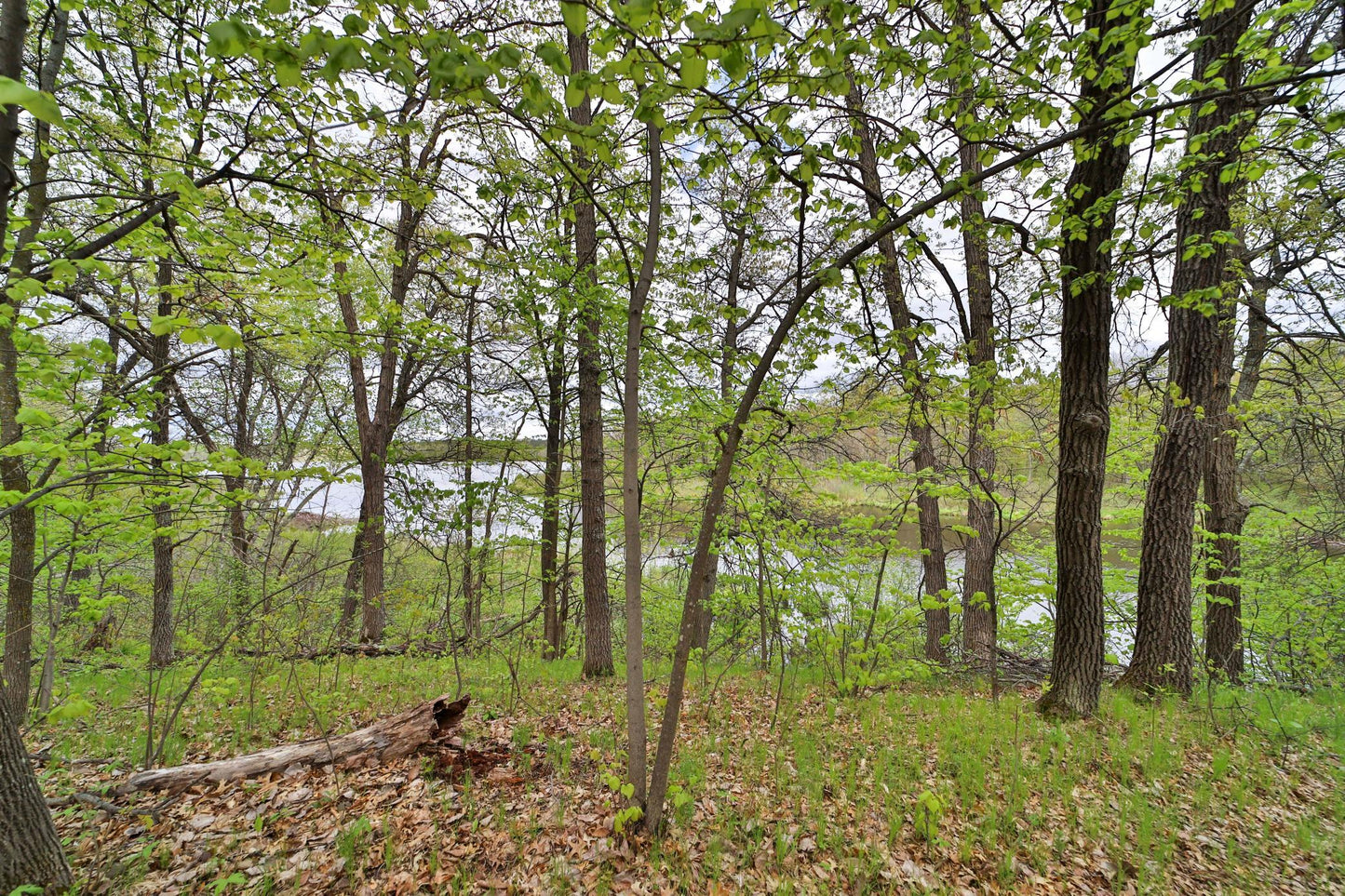 TBD Wildlife Trail, Pequot Lakes, MN 56472