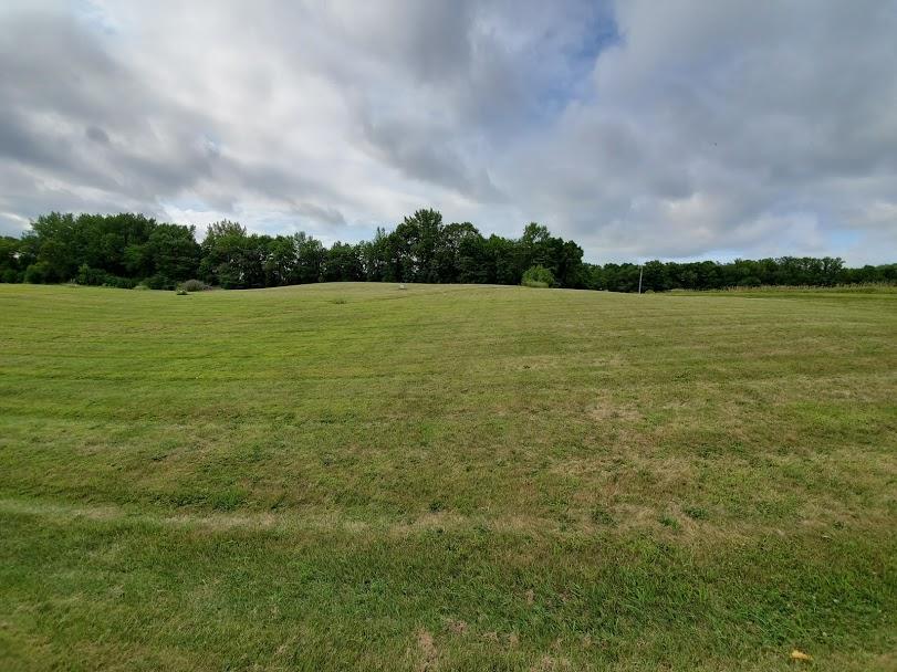 Lot 9 Devils Lake Road, Brandon, MN 56315