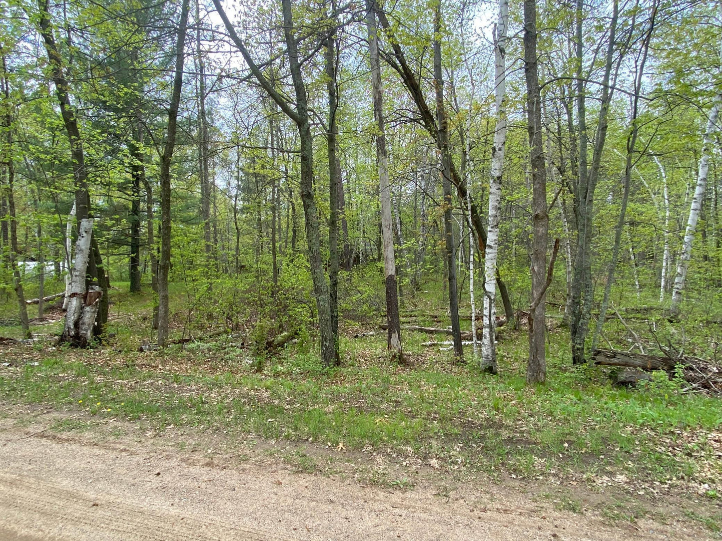 XXX Orchid Lot 96 & 97 , Breezy Point, MN 56472