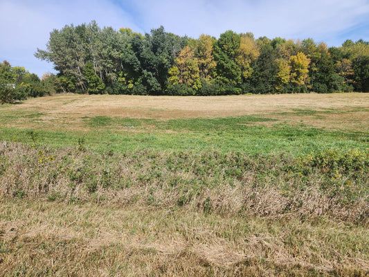 Lot 2 Edgewater Road , Garden City Twp, MN 56055