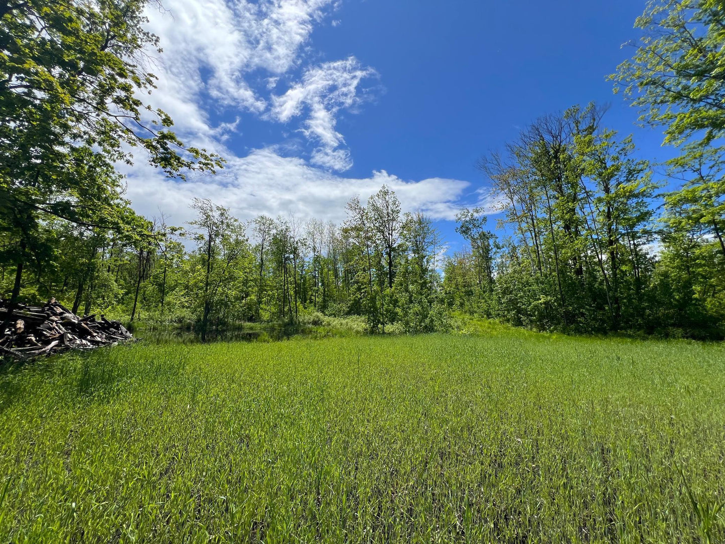 XXX Woods Road, Isle, MN 56342