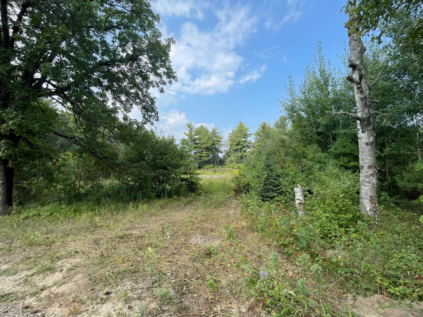 TBD Camp Fish Road, Akeley, MN 56484