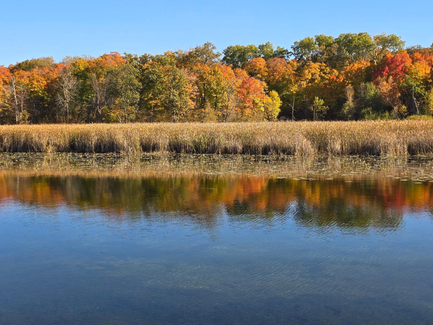 Tract I Blybergs Lane , Pelican Rapids, MN 56572