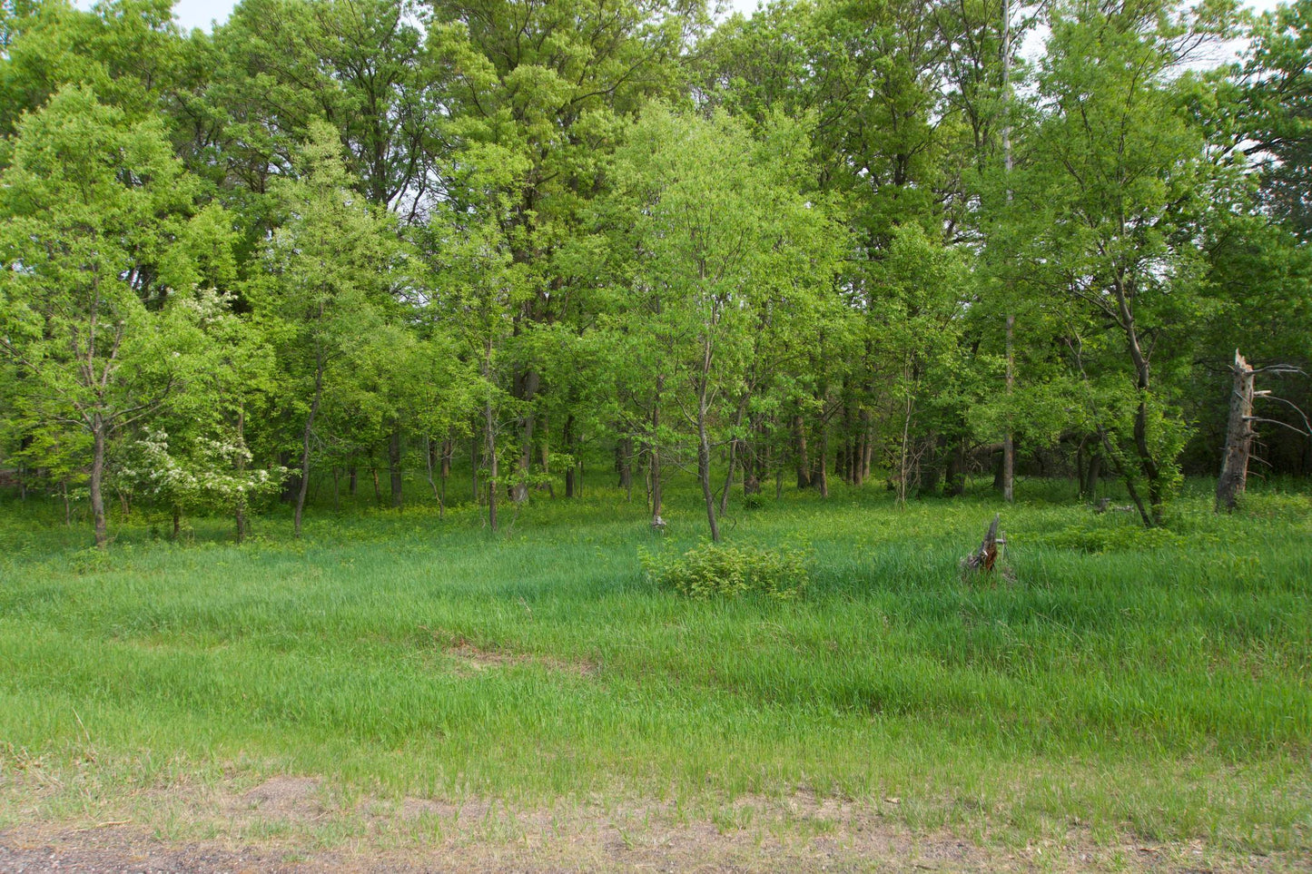 XXX Lot 3 283rd Avenue, Zimmerman, MN 55398