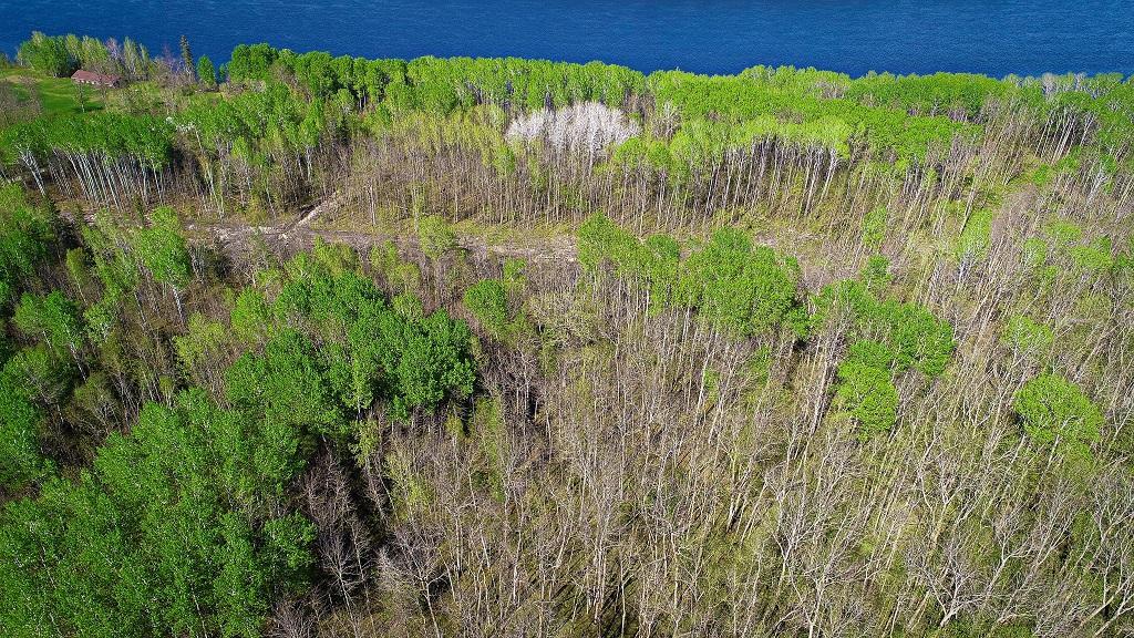 Lot 9 - TBD Driftwood Lane, Baudette, MN 56623