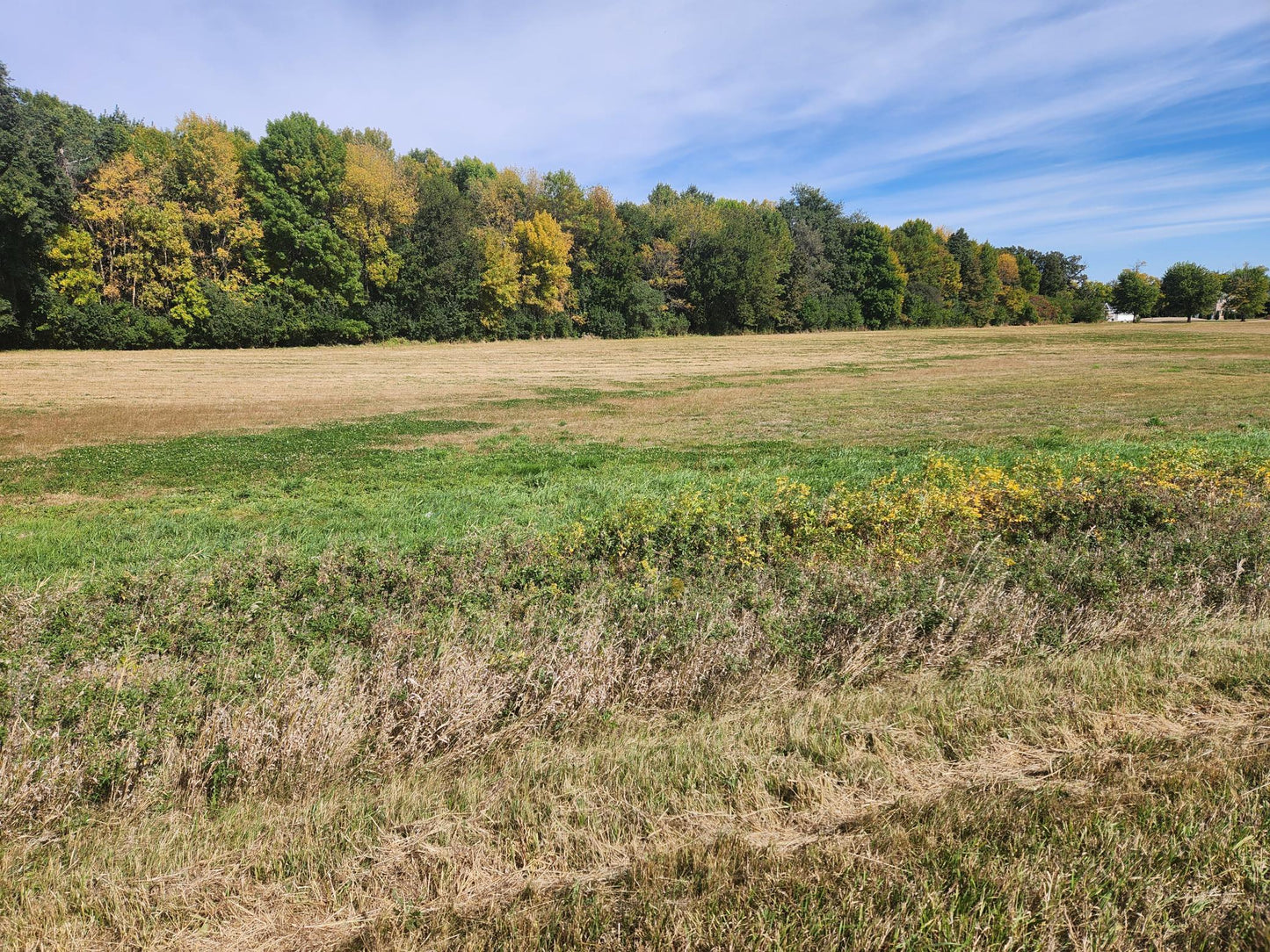 Lot 2 Edgewater Road , Garden City Twp, MN 56055