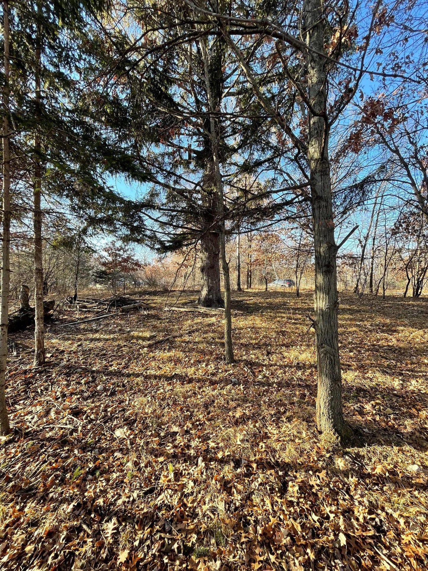 xxx W Fawn Road, Linwood Twp, MN 55092